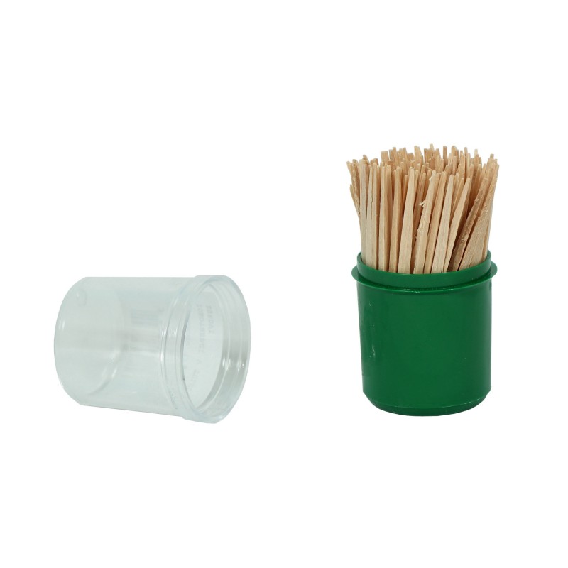 TOOTHPICKS in a /PL./ CASE